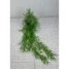 Hanging Ruccus Pot 120cm
