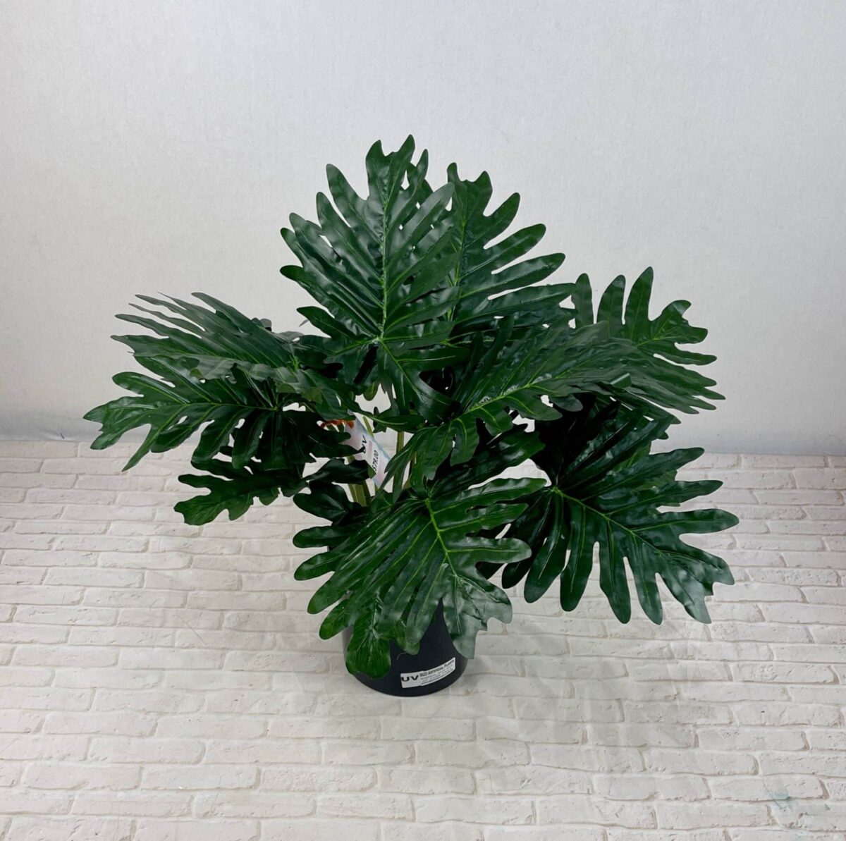 UV Double Xanadu Bush